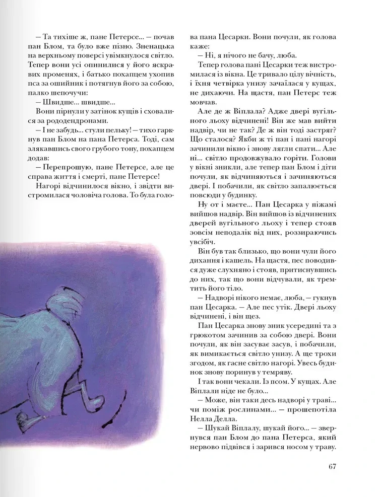І знову Віплала — фото 11