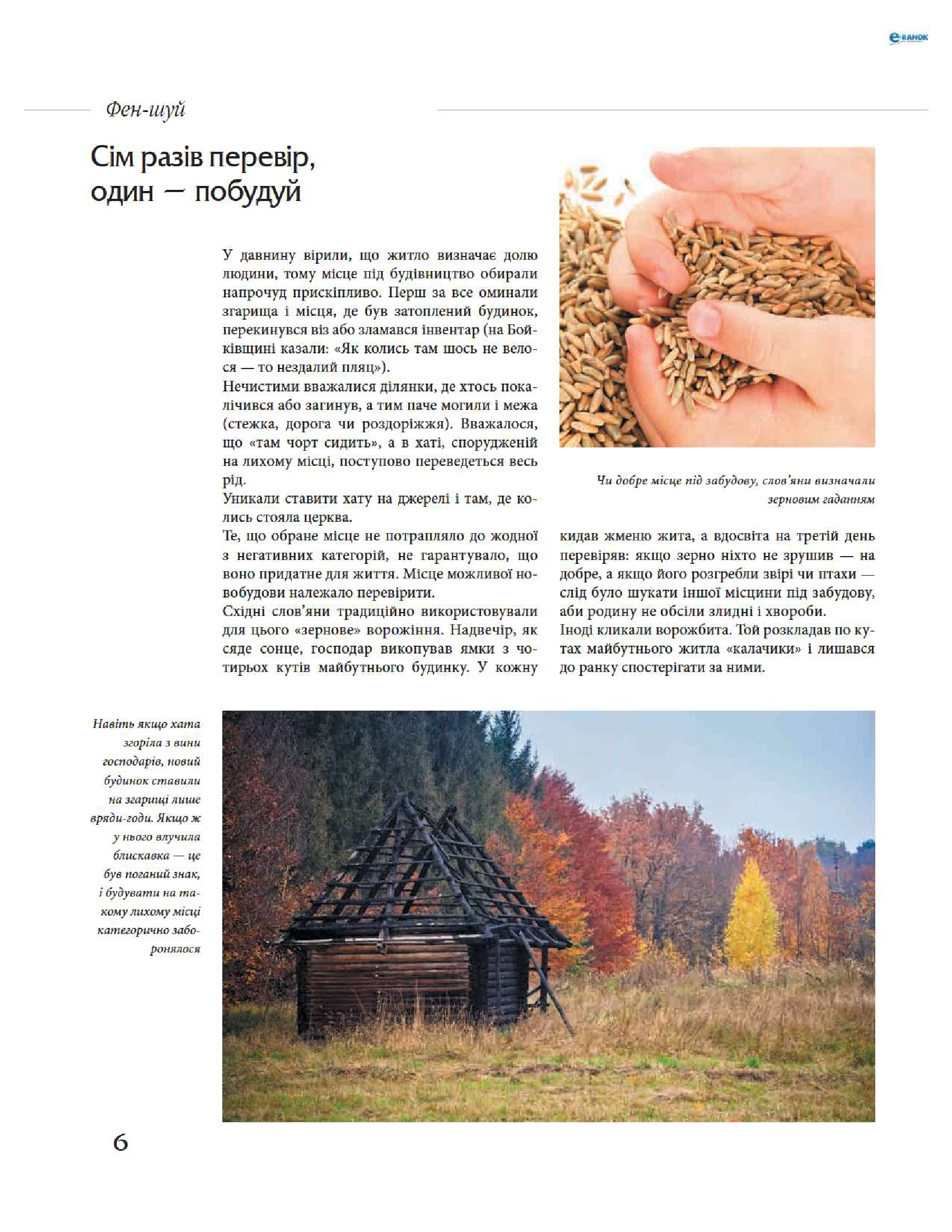 [object Object] «Фен-шуй», автор Ярослава Сегал - фото №5 - мініатюра
