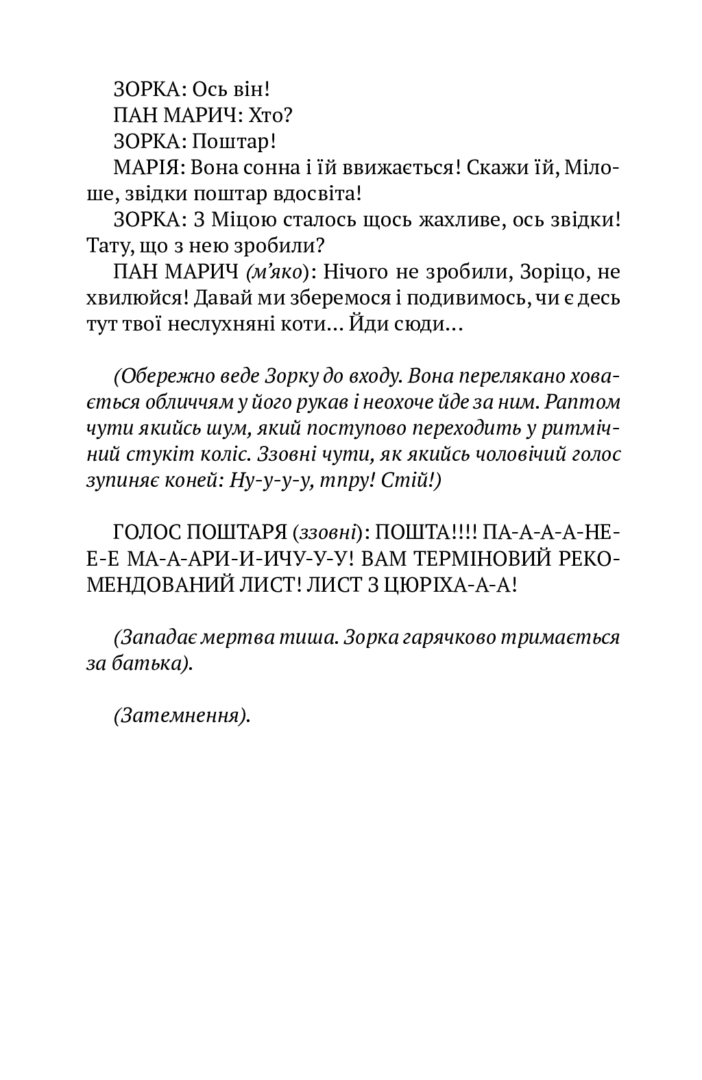 [object Object] «Мілева Айнштайн», автор Віда Огнєнович - фото №5 - мініатюра