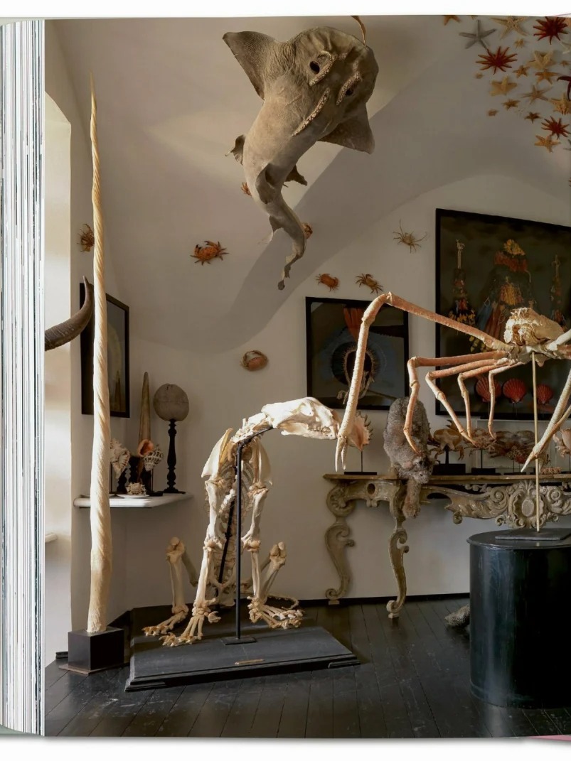 [object Object] «Cabinet of Curiosities», авторів Антоніо Паолуччі, Джулія М. Л. Карчіотто - фото №4 - мініатюра