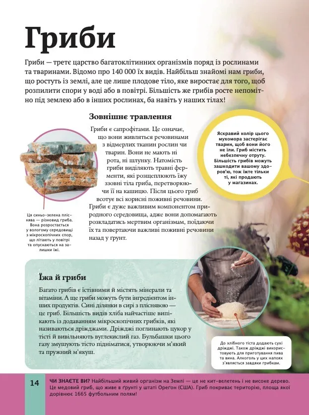 Дитяча енциклопедія біології — фото 13