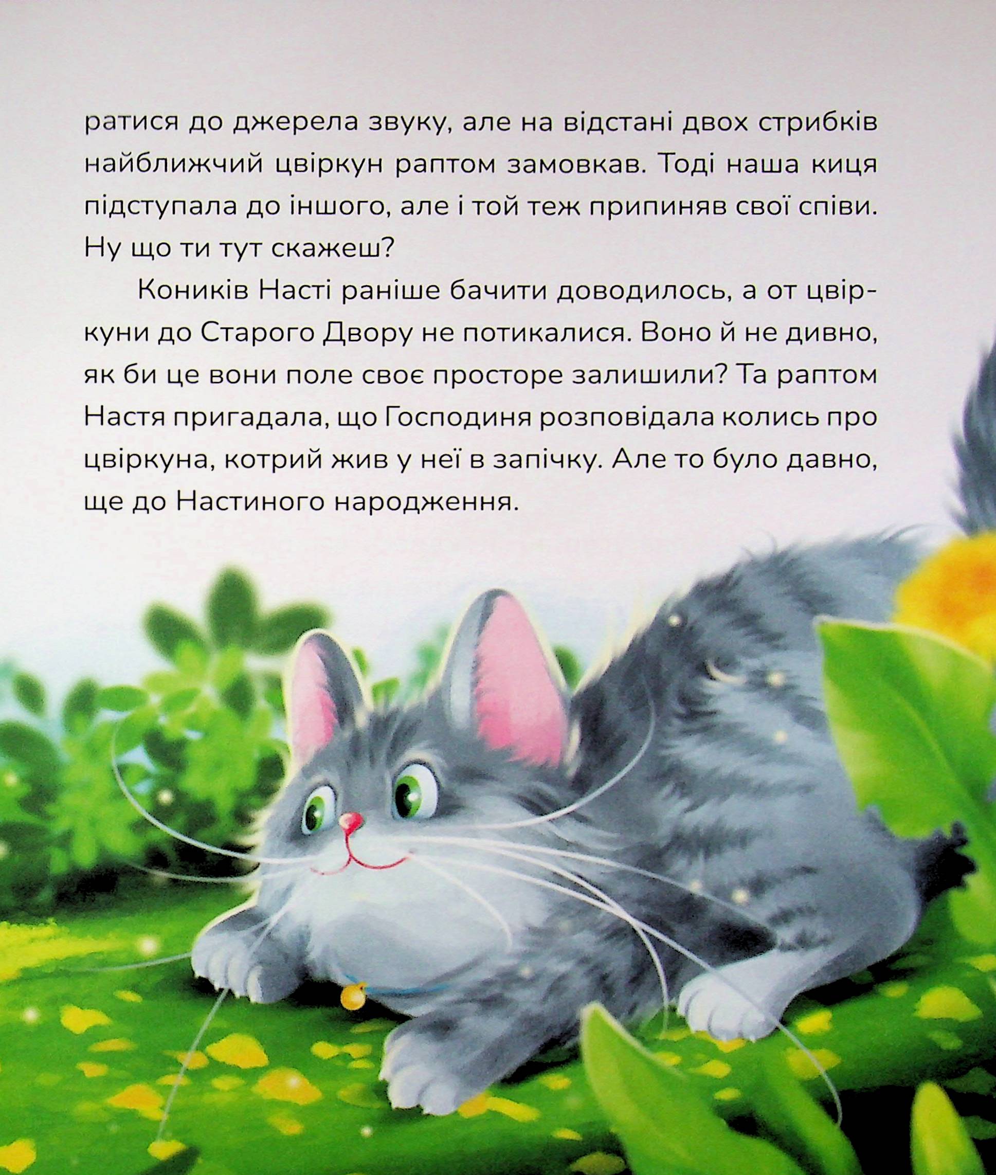 Нові стежки — фото 15