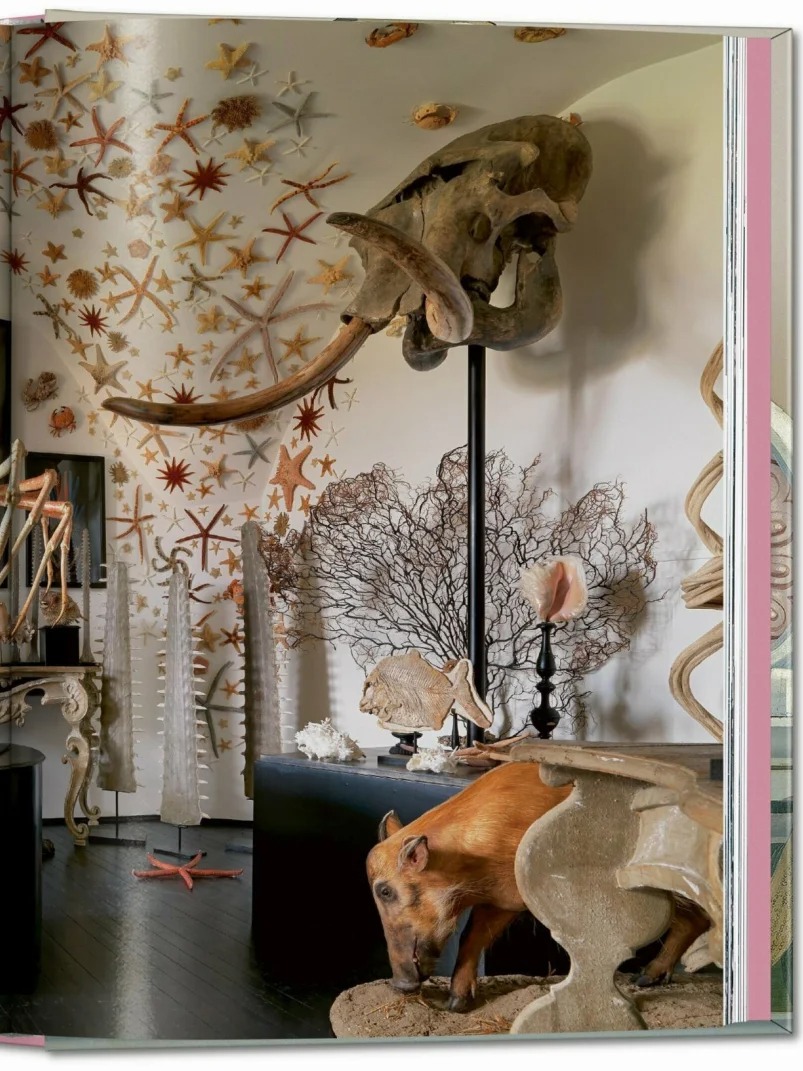 [object Object] «Cabinet of Curiosities», авторів Антоніо Паолуччі, Джулія М. Л. Карчіотто - фото №5 - мініатюра