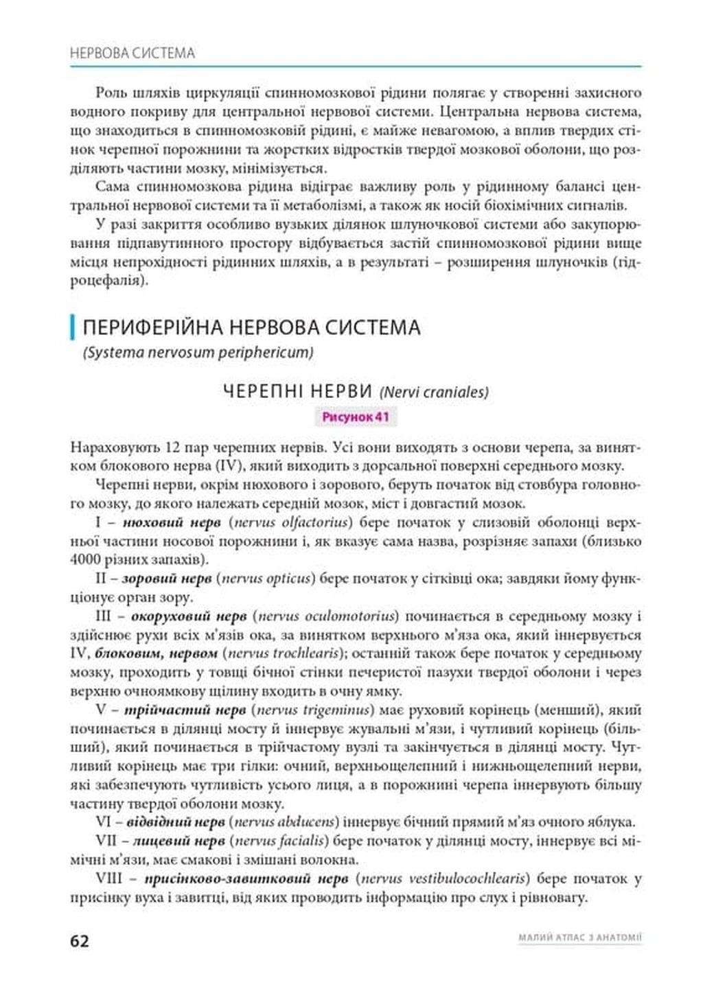 Малий атлас з анатомії — фото 15