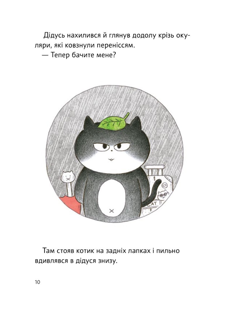Чорний Кіт-помічник. Дотримуйтеся порядку в резиденції! — фото 9