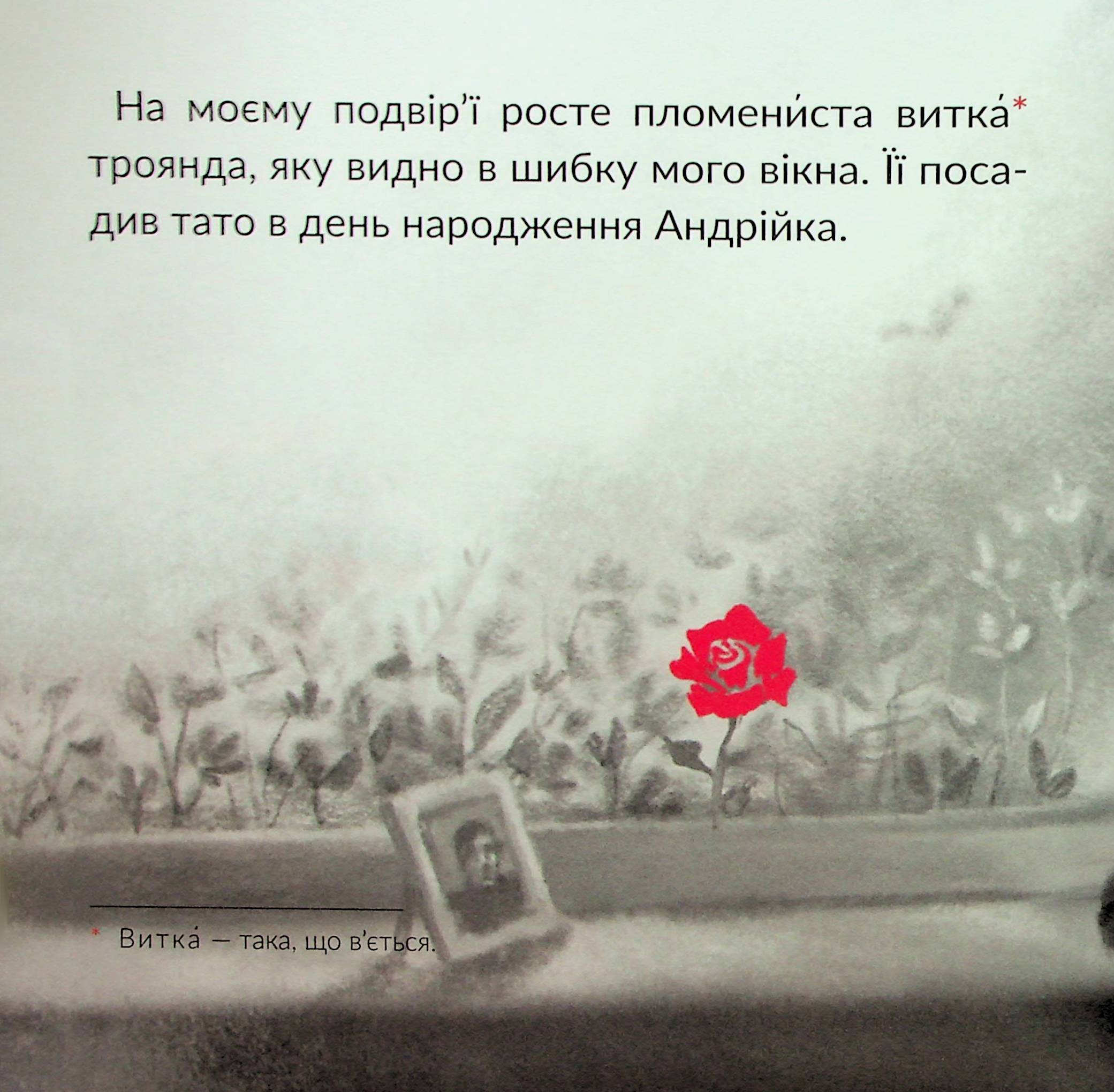 Місто на вікні — фото 9
