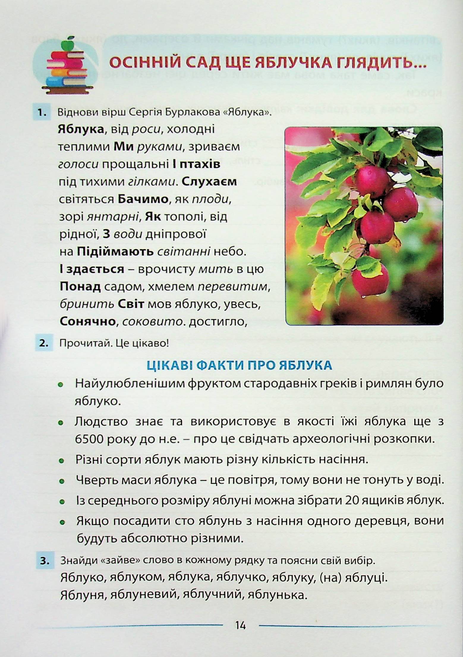 Мовлення розвиваємо та залюбки читаємо. 4 клас. Інтегрований посібник із читання та розвитку зв’язного мовлення — фото 14
