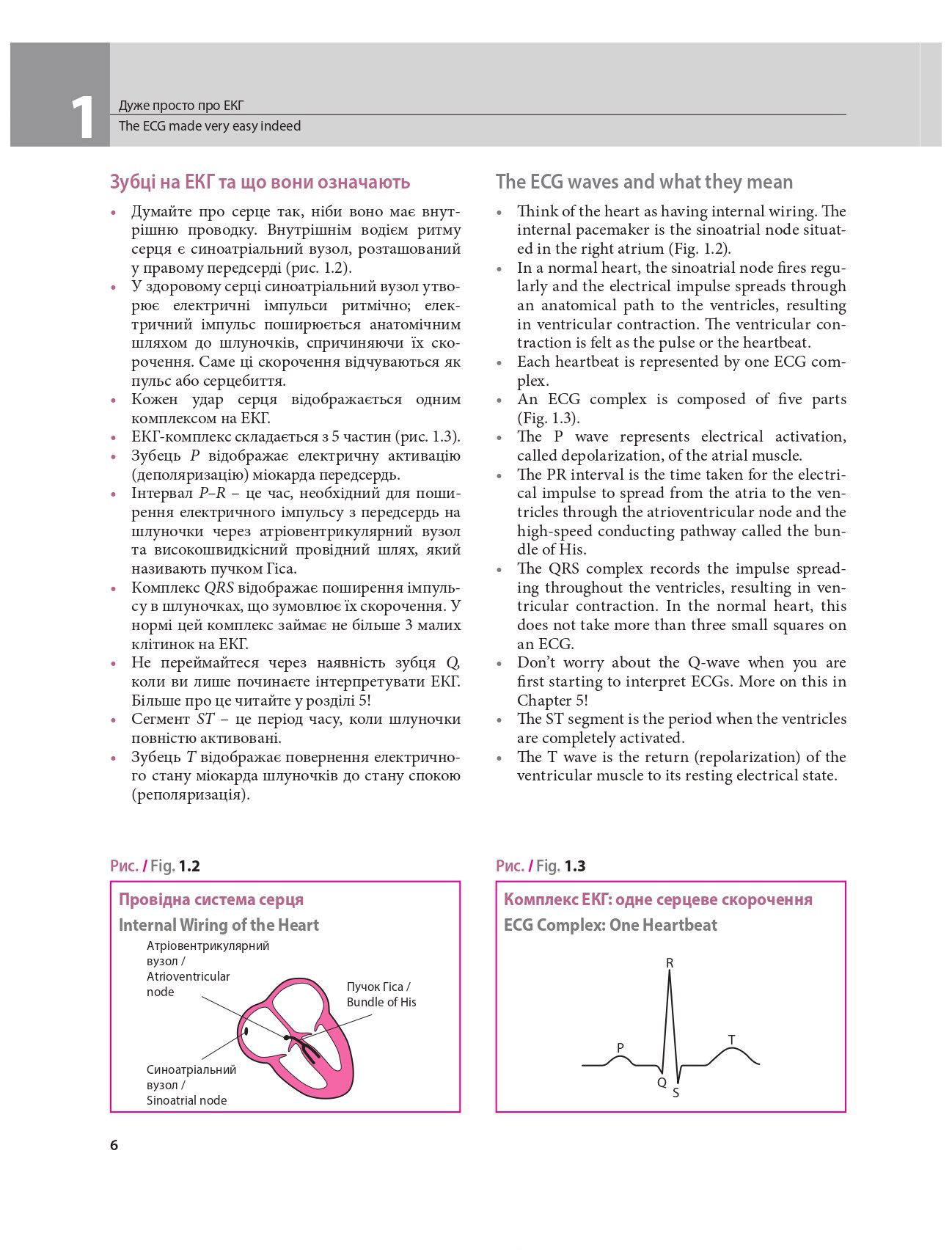 Основи ЕКГ / The ECG Made Easy — фото 17
