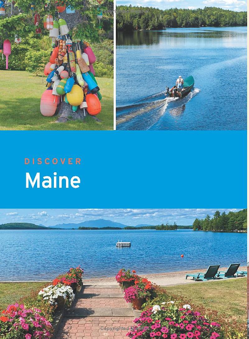 [object Object] «Moon Maine», автор Хилари Нангл - фото №4 - миниатюра