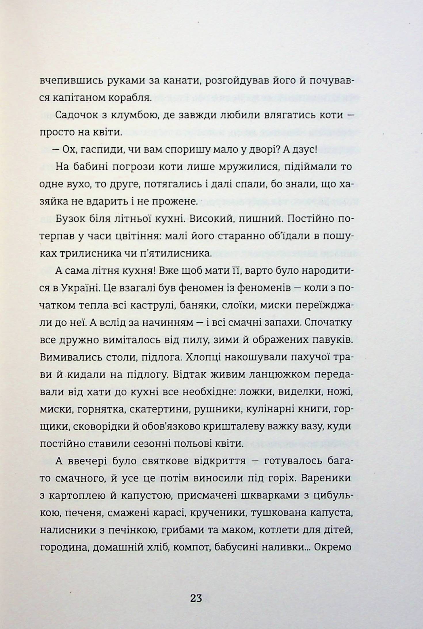 Я (не) знаю, як про це писати. Збірка оповідань та есеїв — фото 22