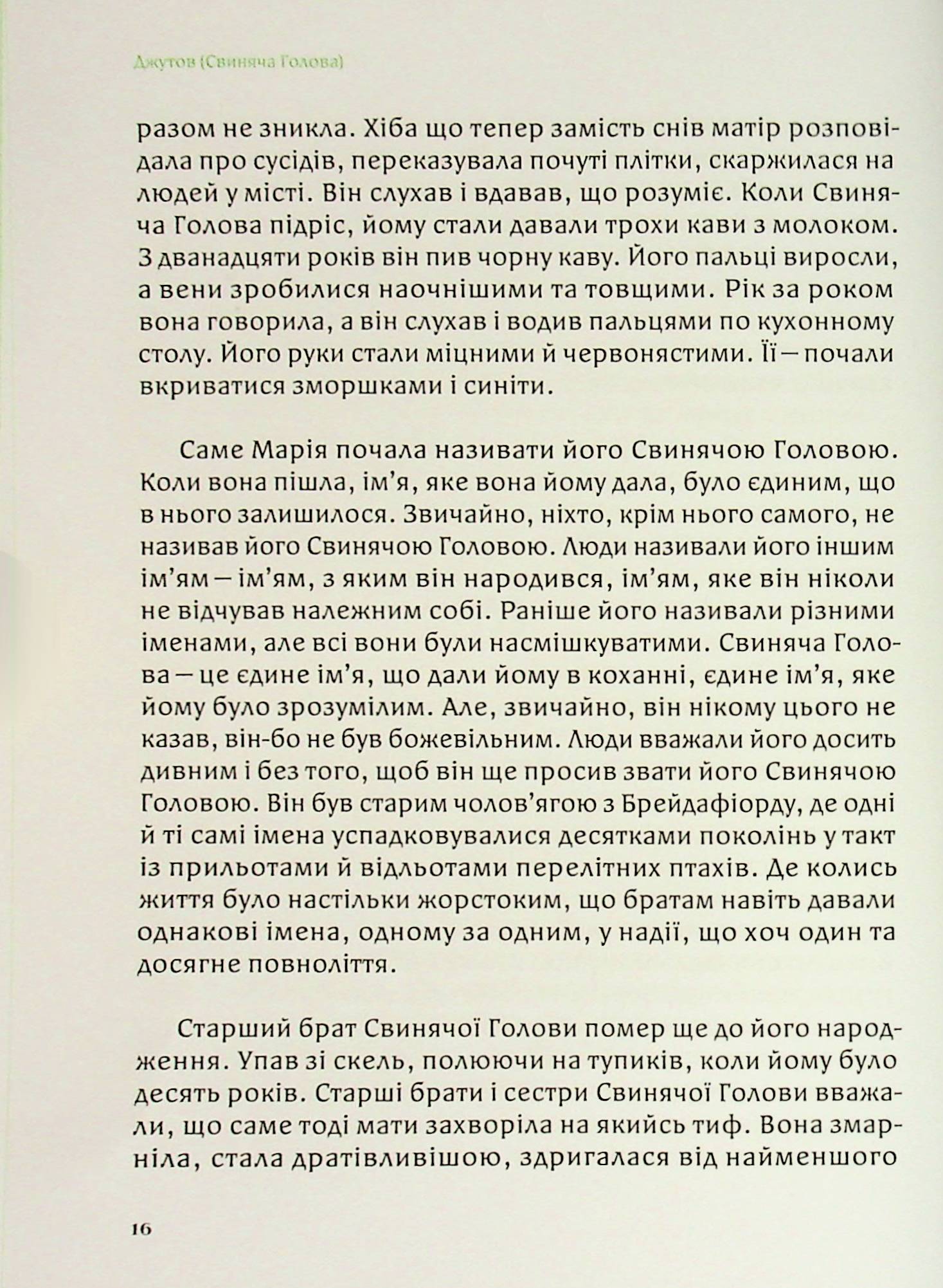 Свиняча голова — фото 18