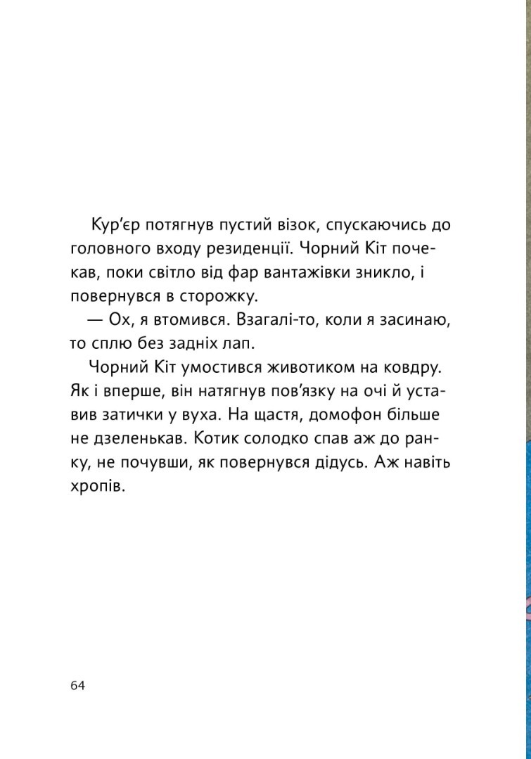 Чорний Кіт-помічник. Дотримуйтеся порядку в резиденції! — фото 14