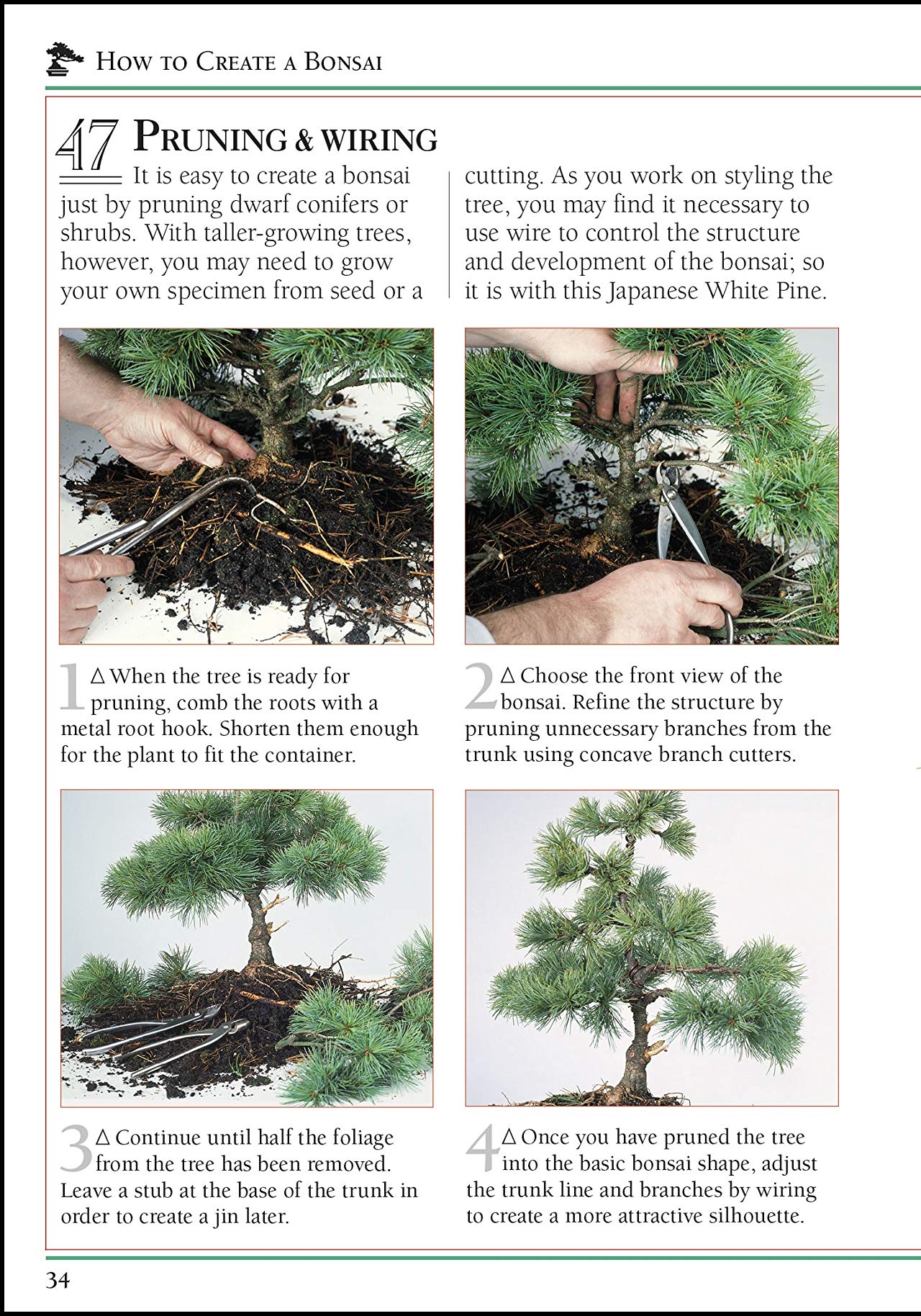 [object Object] «101 Essential Tips Bonsai. Breaks Down the Subject into 101 Easy-to-Grasp Tips», автор Гаррі Томлінсон - фото №2 - мініатюра