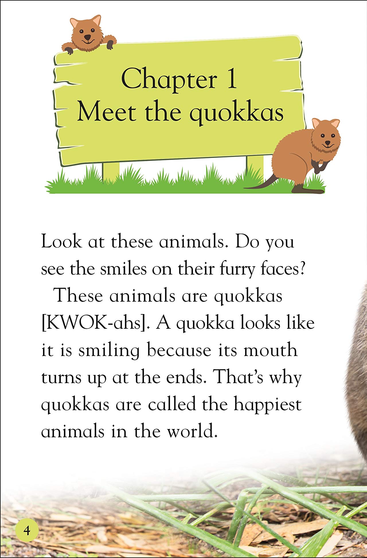 [object Object] «DK Reader Level 2. Meet the Quokkas!» - фото №2 - миниатюра