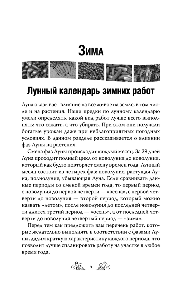 [object Object] «Огород круглый год. Календарь огородника» - фото №2 - миниатюра