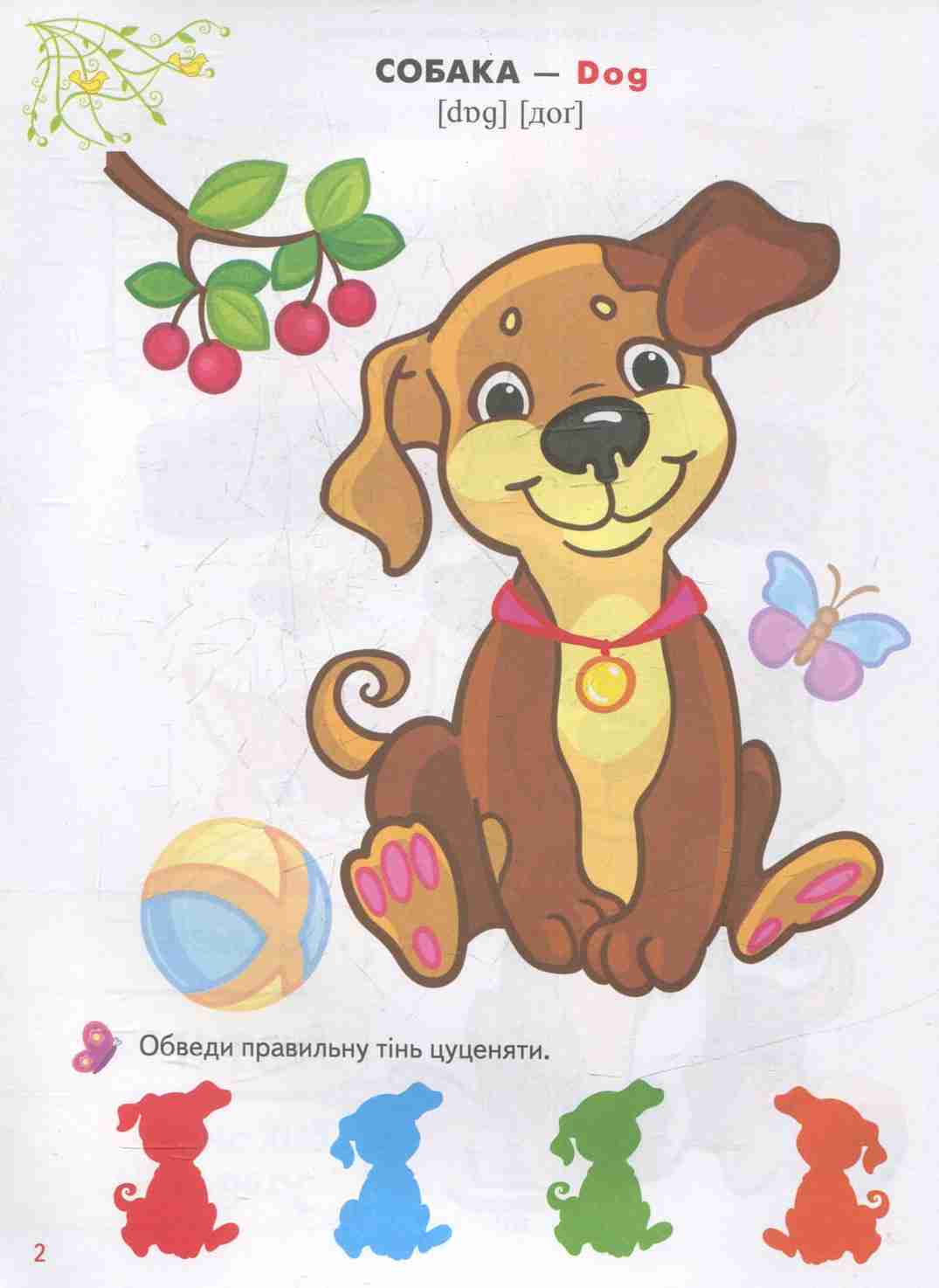 Улюблені тварини — фото 4