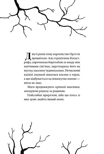 [object Object] «Час тіней», авторів Олена Кузьміна, Ірина Грабовська, Анастасія Нікуліна, Леся Яцута. - фото №2 - мініатюра