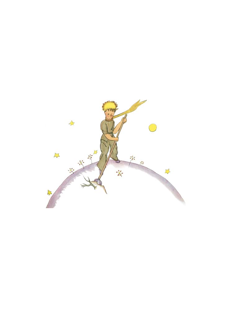 [object Object] «The Little Prince. Collector's Edition», автор Антуан де Сент-Екзюпері - фото №2 - мініатюра