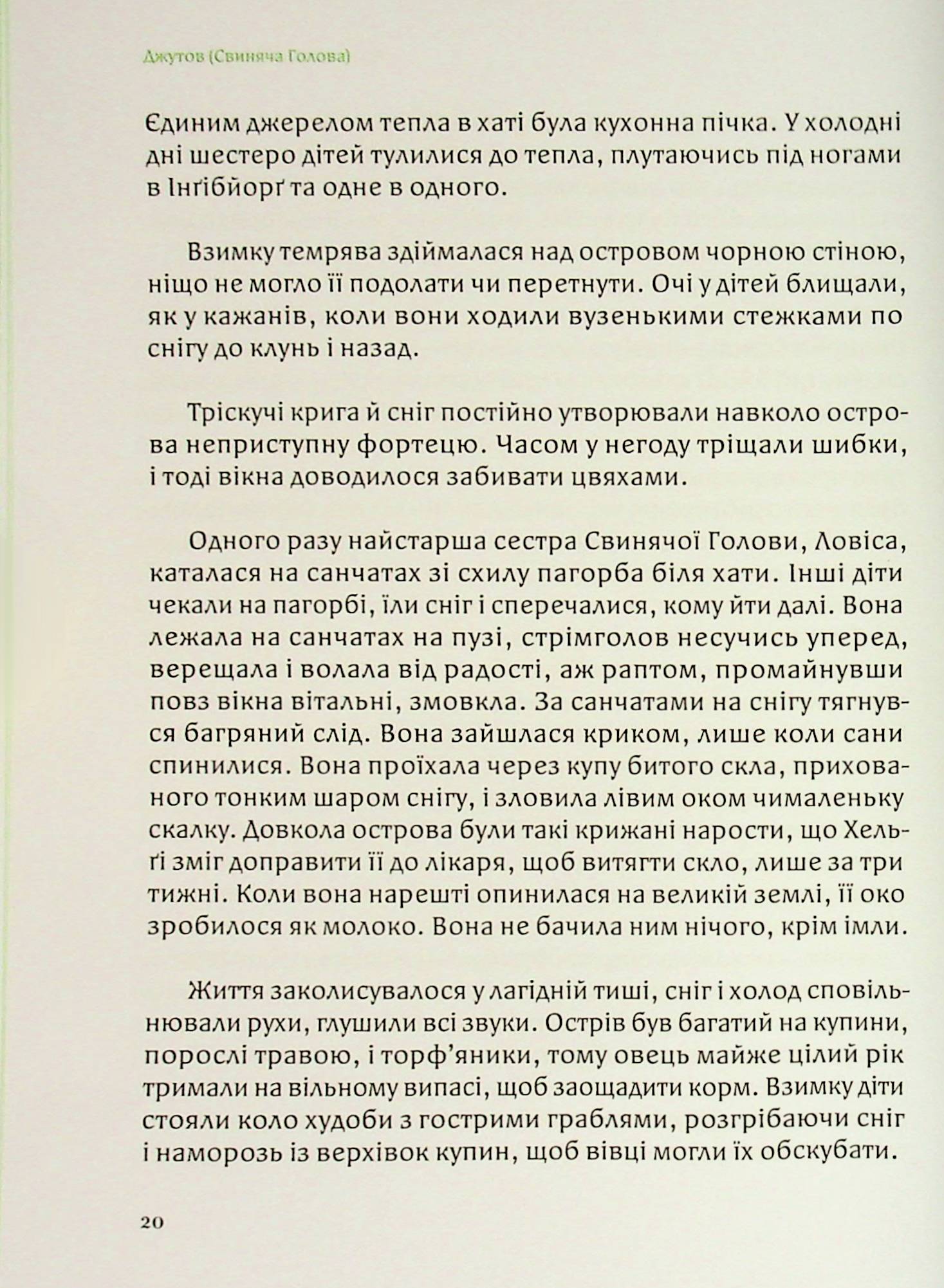 Свиняча голова — фото 22