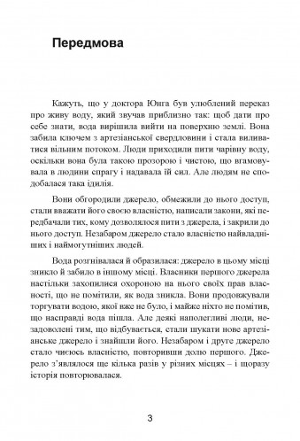 [object Object] «Як оволодіти своєю тінню. Глибинні аспекти темної сторони психіки», автор Роберт Джонсон - фото №3 - мініатюра