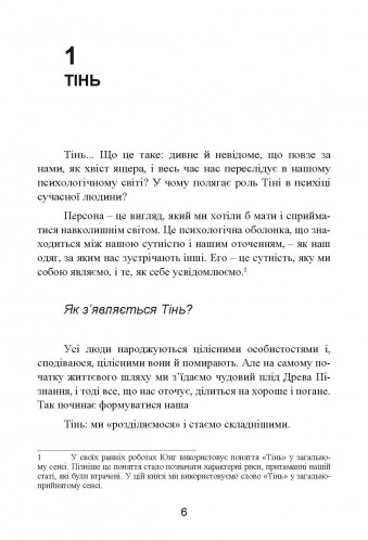 [object Object] «Як оволодіти своєю тінню. Глибинні аспекти темної сторони психіки», автор Роберт Джонсон - фото №6 - мініатюра