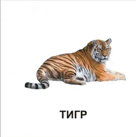 [object Object] «Звірята» - фото №2 - мініатюра