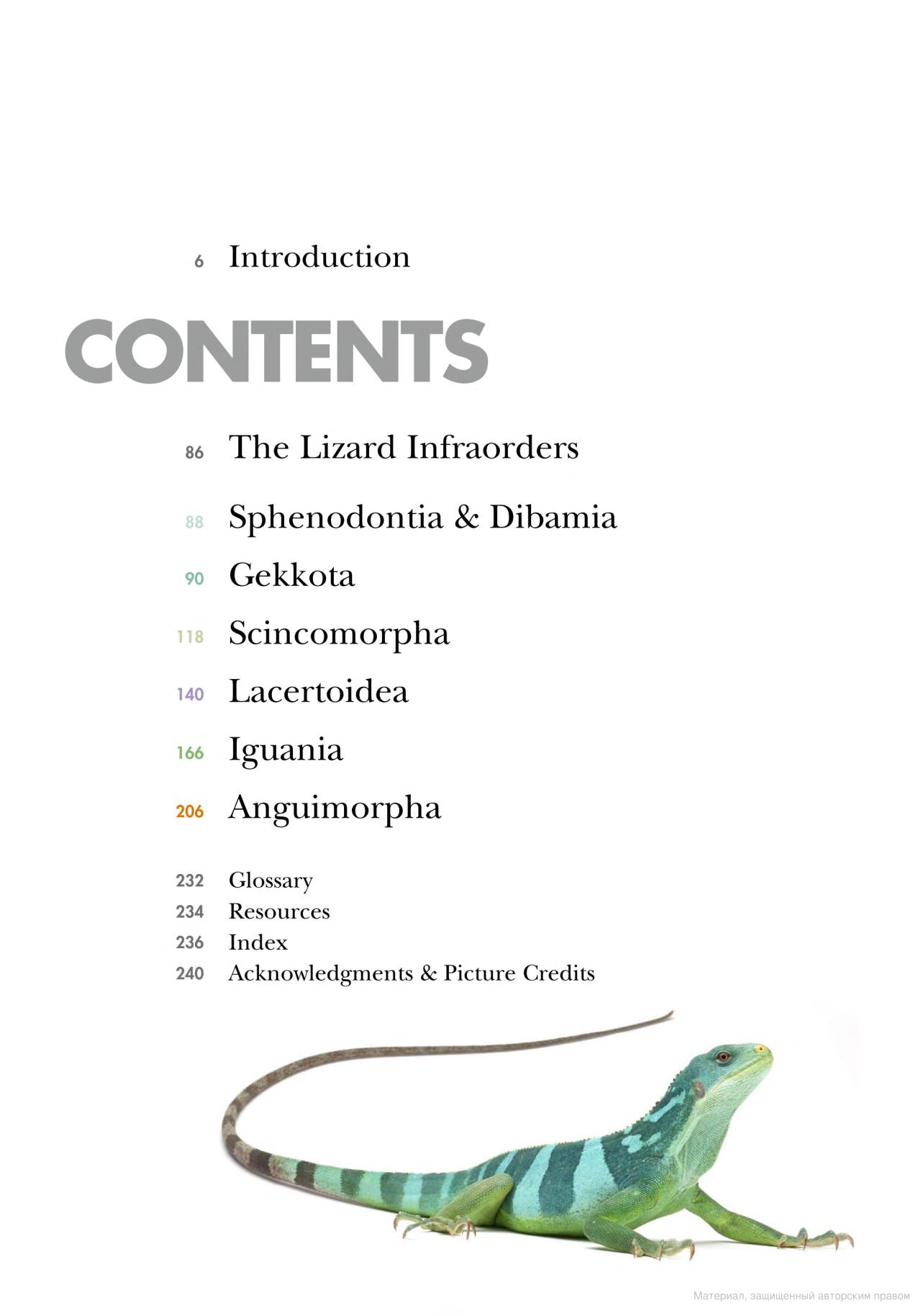 [object Object] «Lizards of the World. A Guide to Every Family», автор Марк О'ші - фото №2 - мініатюра