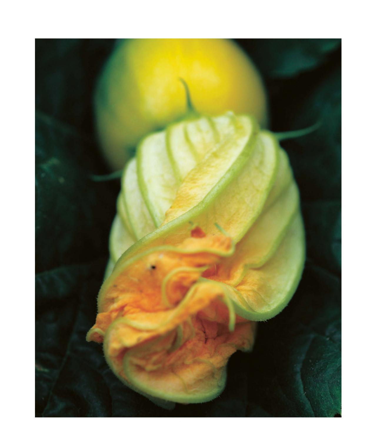 [object Object] «The British Larder. A Cookbook For All Seasons», автор Мадалена Бонвіні-Хамель - фото №3 - мініатюра