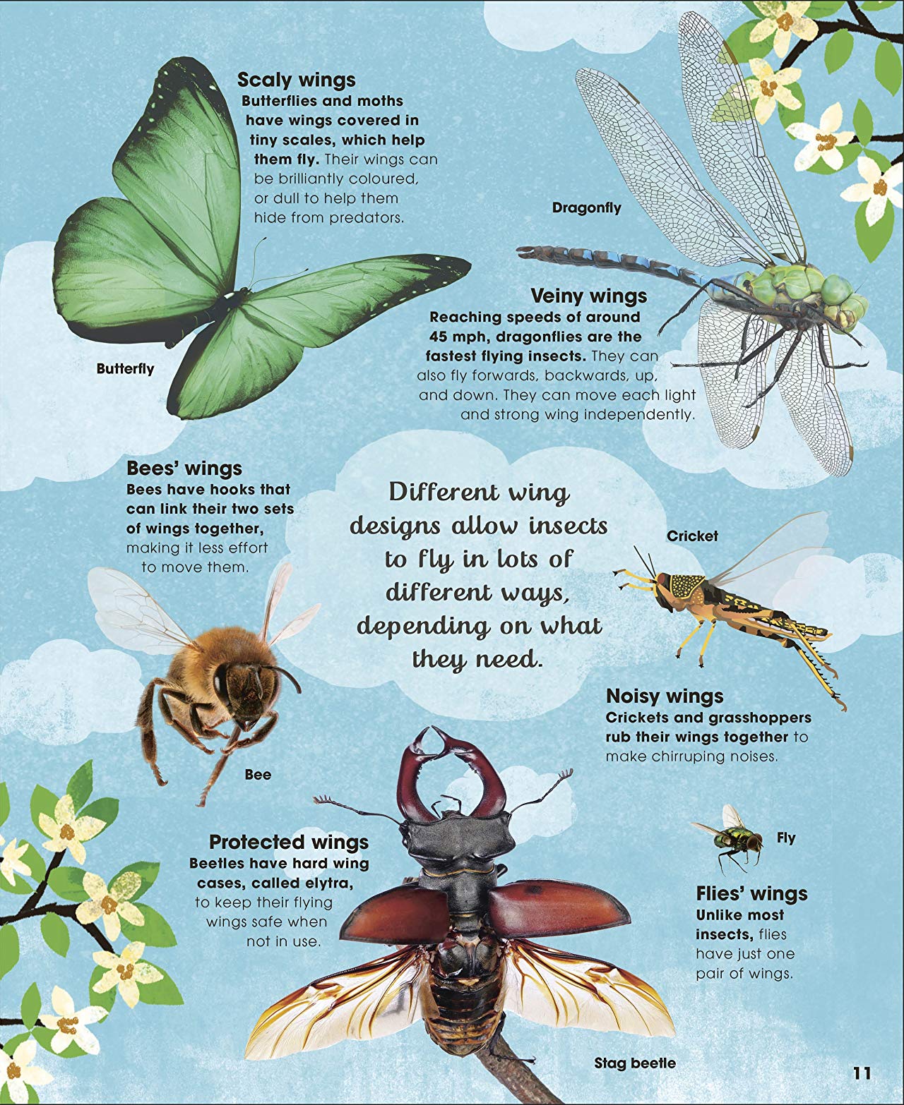 [object Object] «The Book of Brilliant Bugs», автор Джесс Френч - фото №3 - миниатюра