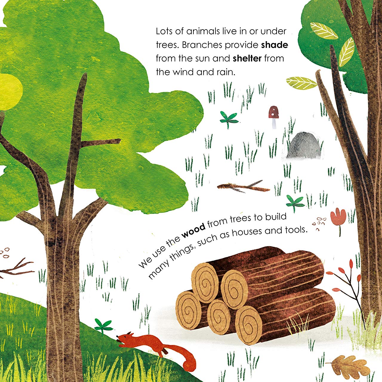 [object Object] «Trees. A lift-the-flap eco book» - фото №3 - миниатюра