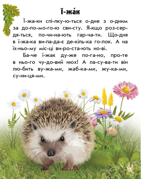 [object Object] «Тварини лісів  », автор Юлия Каспарова - фото №2 - миниатюра