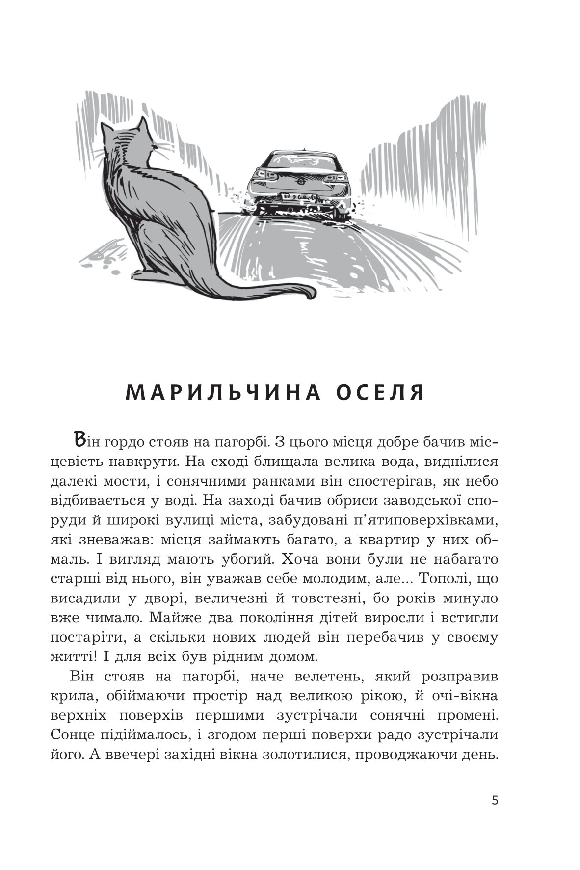 Чи бачать небеса котів — фото 5