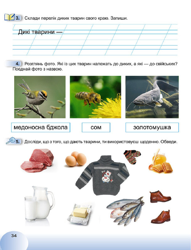 [object Object] «Я досліджую світ. Робочий зошит. Частина 4. 1 клас», авторов Татьяна Гильберг, Светлана Тарнавская, Нина Павич - фото №3 - миниатюра