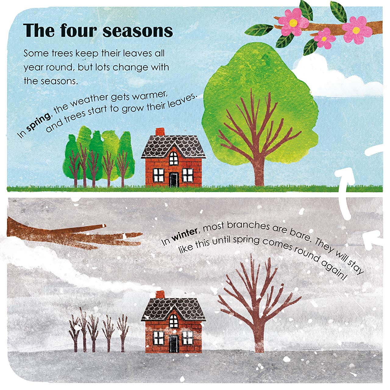 [object Object] «Trees. A lift-the-flap eco book» - фото №4 - миниатюра
