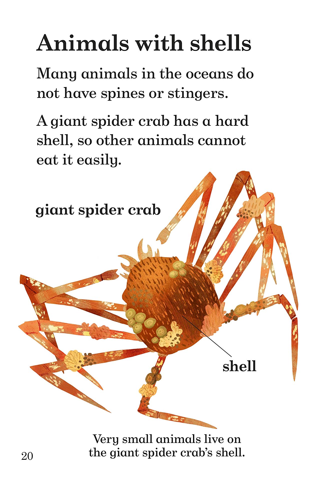 [object Object] «Under the Oceans - Ladybird Readers Level 4» - фото №4 - мініатюра
