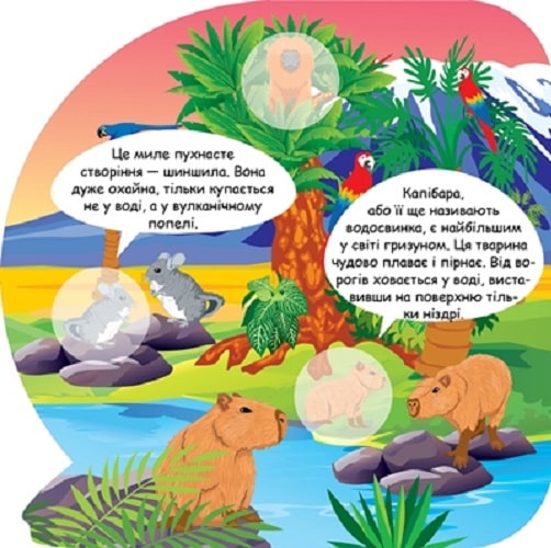 Тварини Південної Америки. Пізнавальні наліпки — фото 3