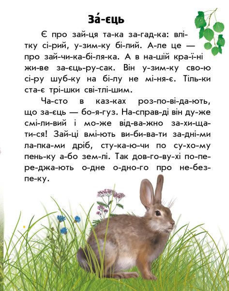 [object Object] «Тварини лісів  », автор Юлия Каспарова - фото №3 - миниатюра
