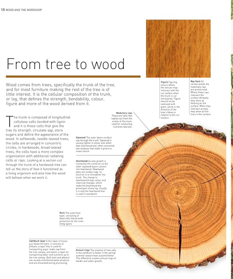 [object Object] «Complete Guide to Woodworking: All the Essential Techniques and Skills You Need», автор Кріс Трайб - фото №4 - мініатюра
