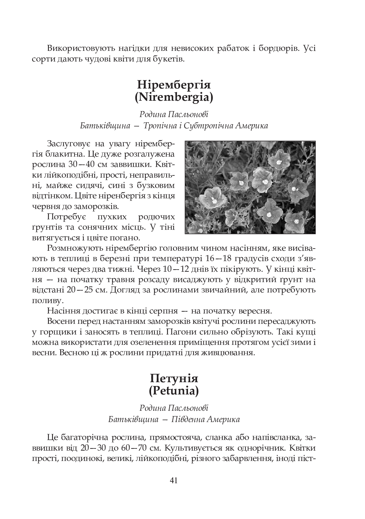 Квіти в кожну школу. Технологія вирощування квітів та догляд за ними. 5-6 класи — фото 6