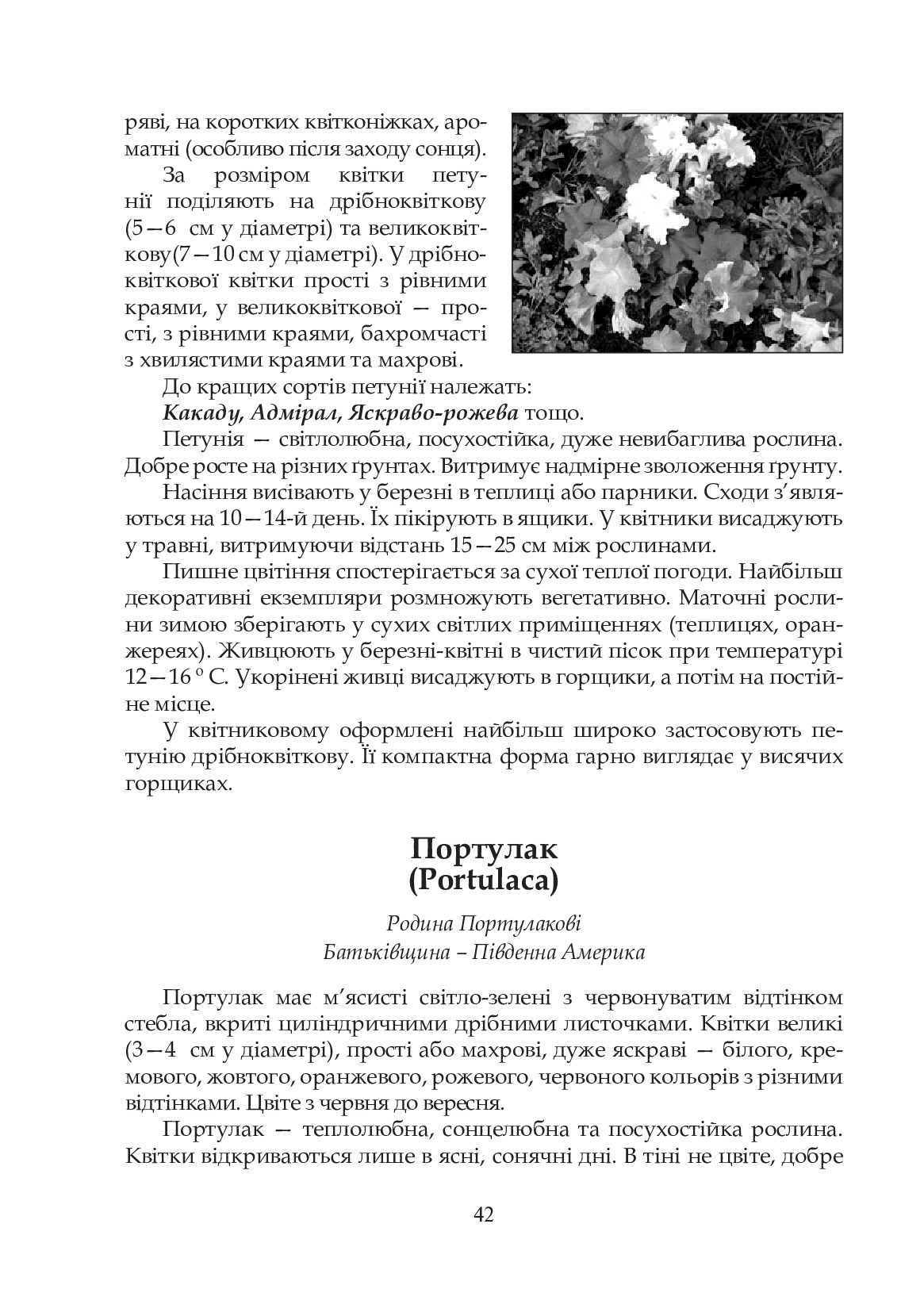 Квіти в кожну школу. Технологія вирощування квітів та догляд за ними. 5-6 класи — фото 7