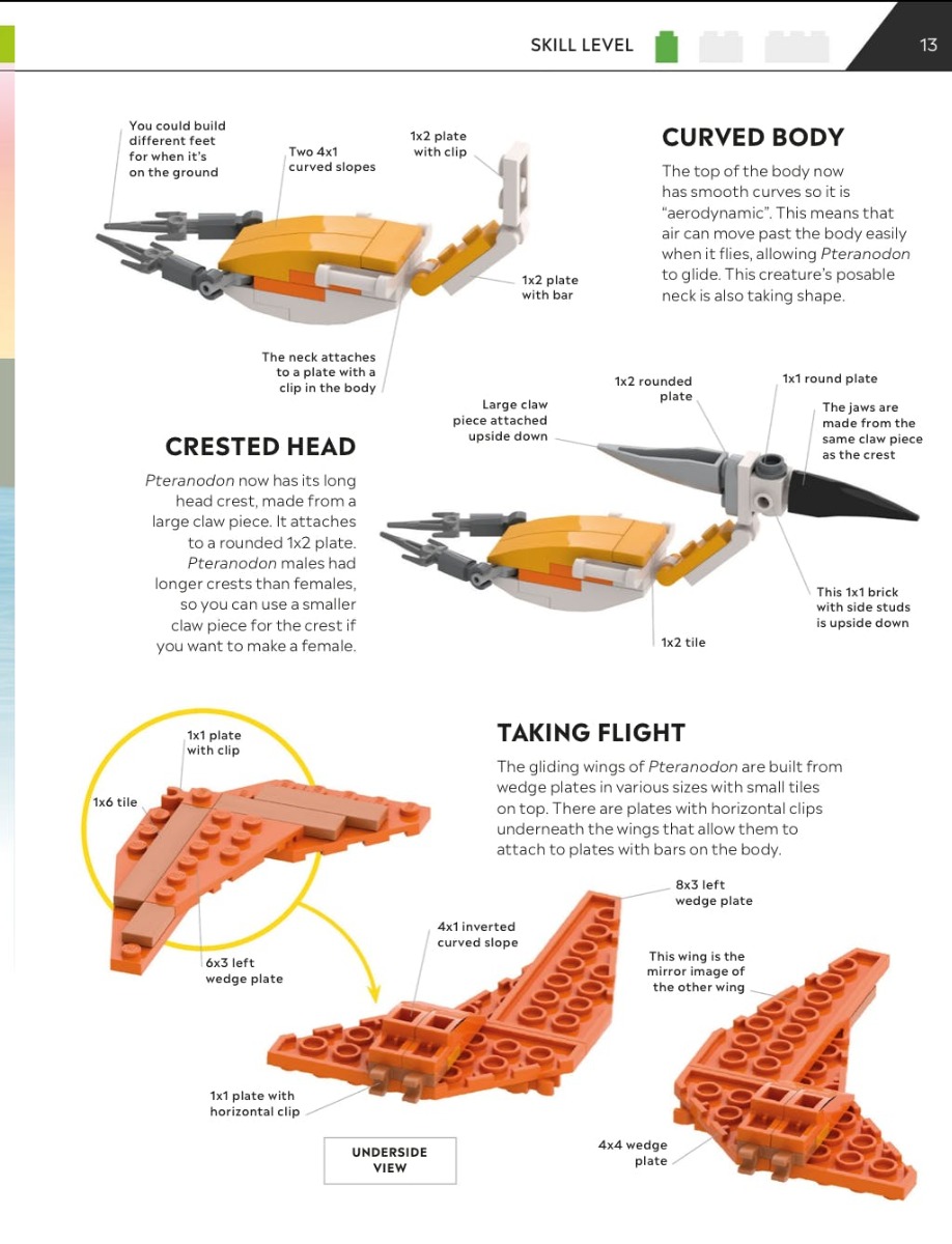 [object Object] «How to Build LEGO Dinosaurs », авторів Джессіка Фаррелл, Ханна Долан, Натан Діас - фото №5 - мініатюра