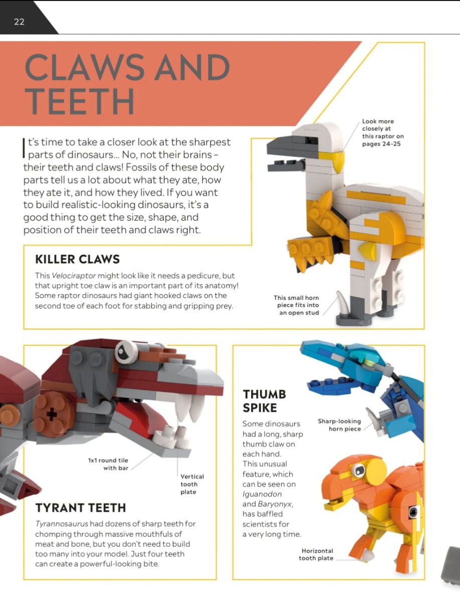 [object Object] «How to Build LEGO Dinosaurs », авторів Джессіка Фаррелл, Ханна Долан, Натан Діас - фото №6 - мініатюра