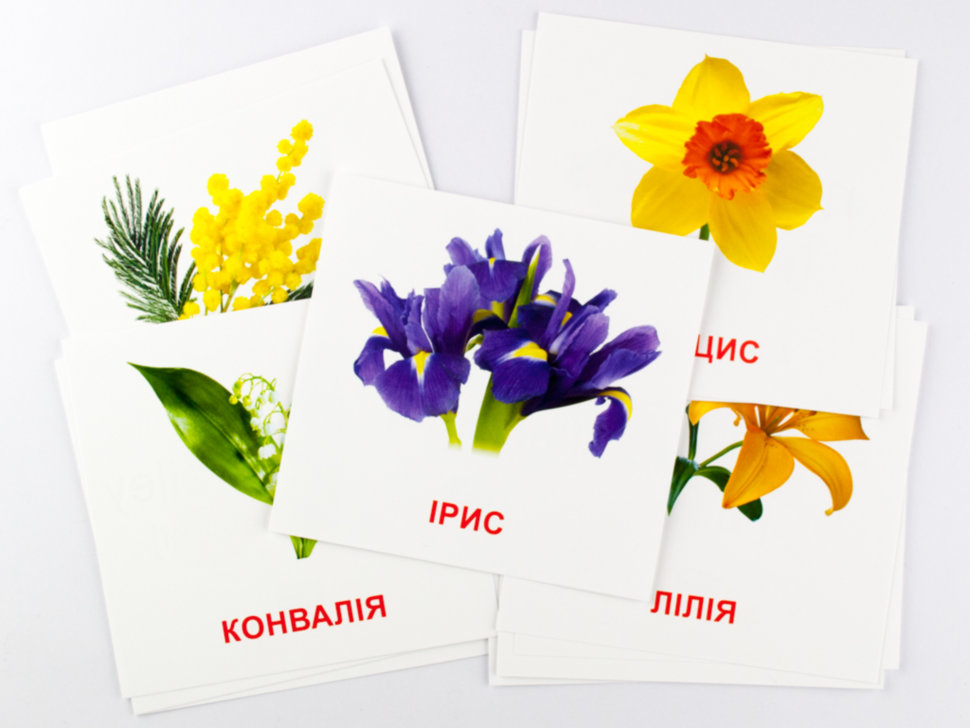 [object Object] «Картки міні. Квіти» - фото №2 - мініатюра