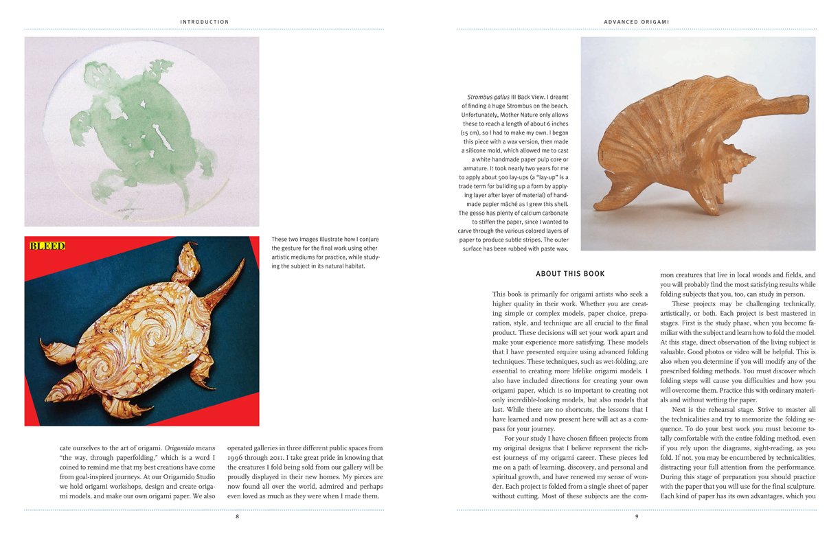 [object Object] «Advanced Origami», авторів Майкл Г. Лафосс, Річард Л. Олександр - фото №5 - мініатюра