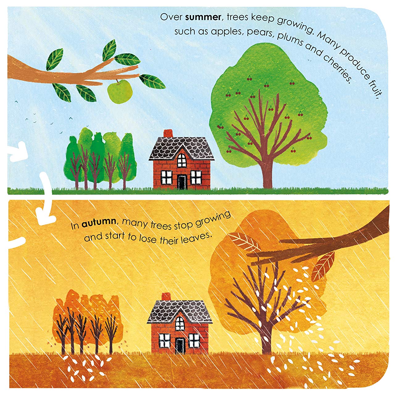 [object Object] «Trees. A lift-the-flap eco book» - фото №5 - миниатюра