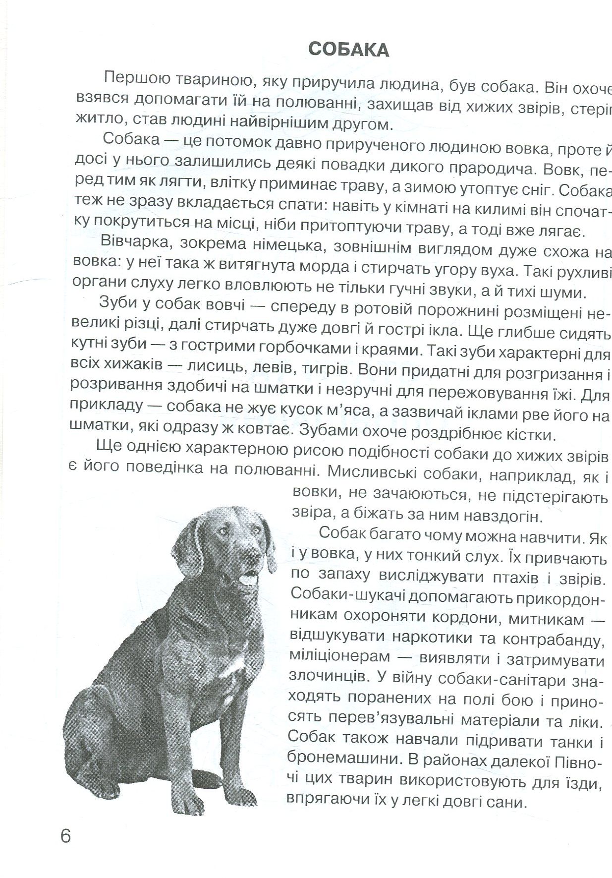 Царство свійських тварин — фото 6