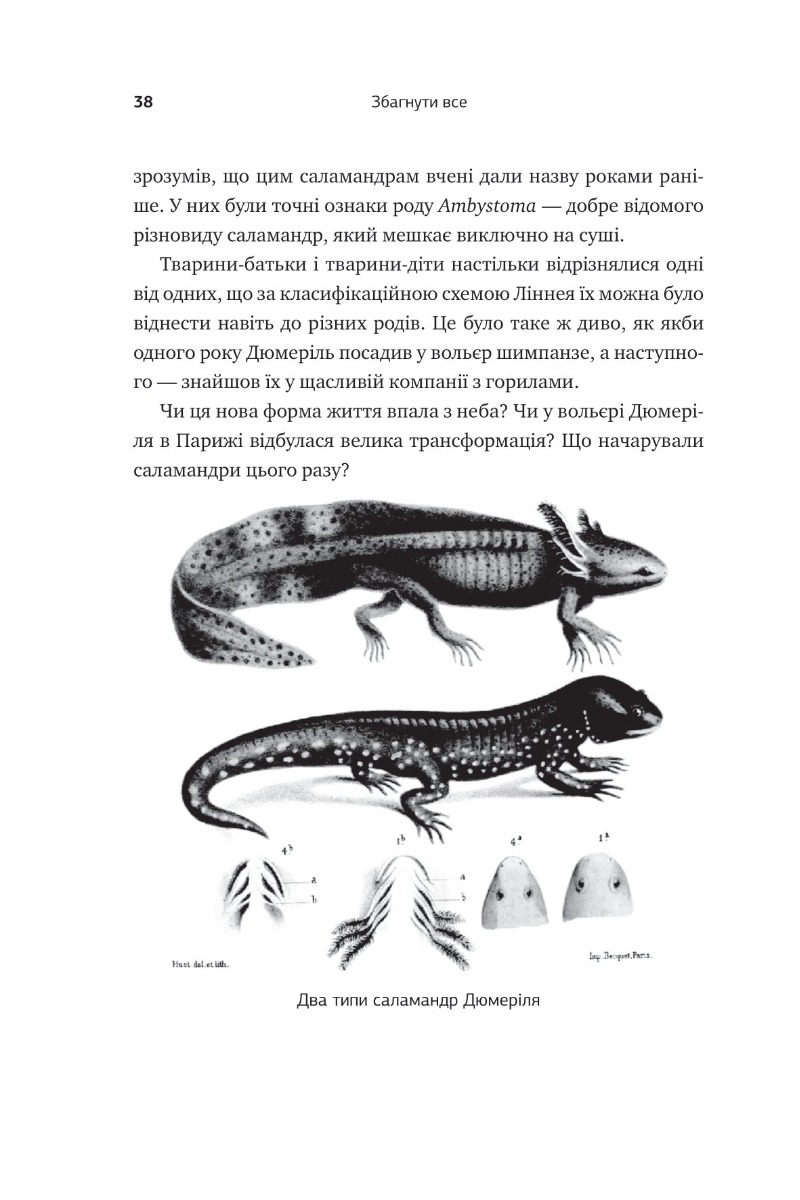 [object Object] «Збагнути все. Розшифрування чотирьох мільярдів років життя на Землі», автор Ніл Шубін - фото №5 - мініатюра