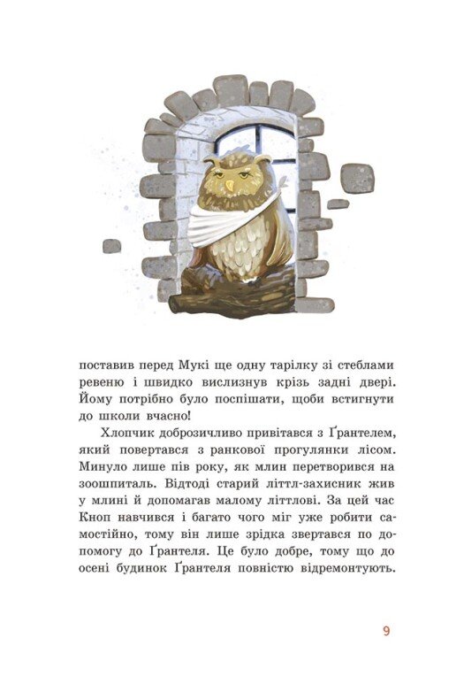 [object Object] «Непосида Кноп. Диво в Маленькому лісі», автор Сандра Гримм - фото №5 - миниатюра