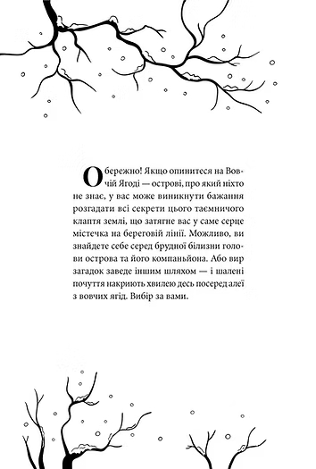 [object Object] «Час тіней», авторів Олена Кузьміна, Ірина Грабовська, Анастасія Нікуліна, Леся Яцута. - фото №5 - мініатюра
