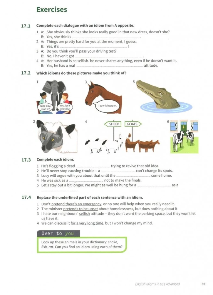 [object Object] «English Idioms in Use. Advanced », авторів Майкл Маккарті, Фелісіті О'Делл - фото №5 - мініатюра